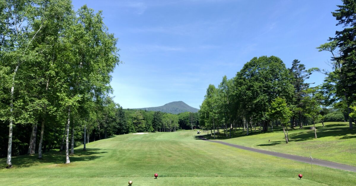 木々と山に囲まれたティーグラウンドの風景