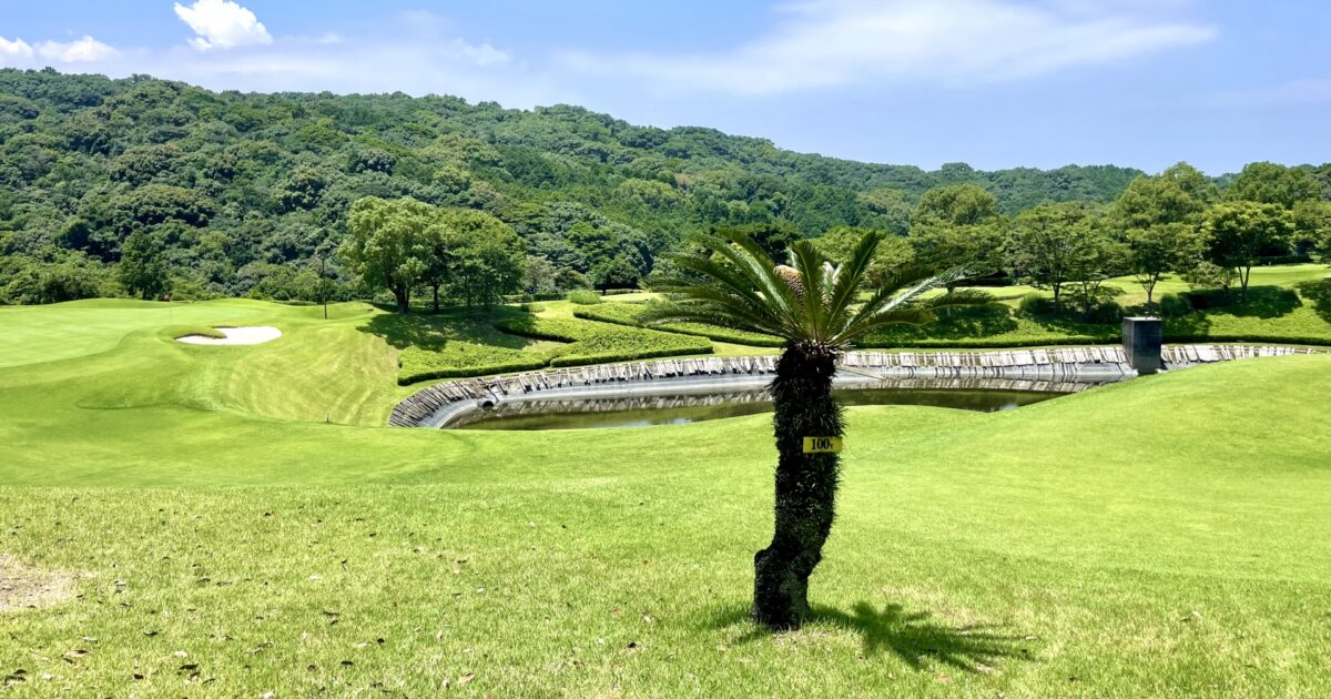 ヤシの木とバンカーがあるゴルフコースの風景